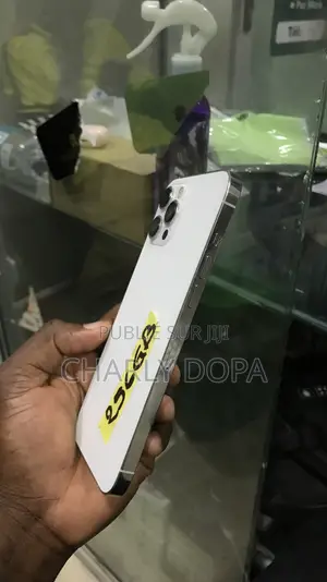 Apple iPhone 12 Pro Max 256 GB Blanc