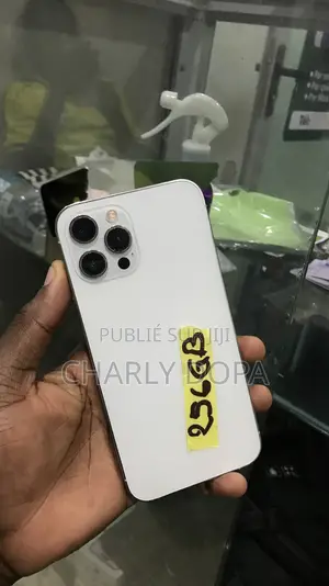 Apple iPhone 12 Pro Max 256 GB Blanc