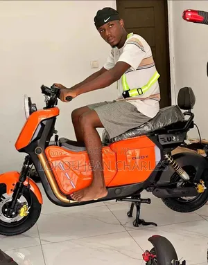 Nouveau American Ironhorse Hachoir 2025 Orange