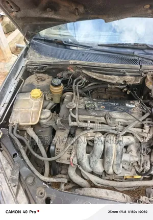 Ford Focus 2000 Gris