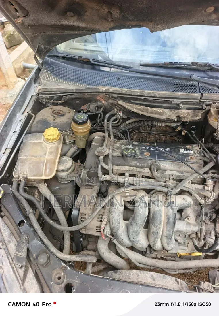 Ford Focus 2000 Gris