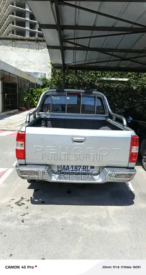 Peugeot XP 2017 Gris