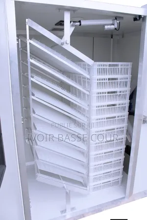 Couveuse Automatique Toutes Capacités