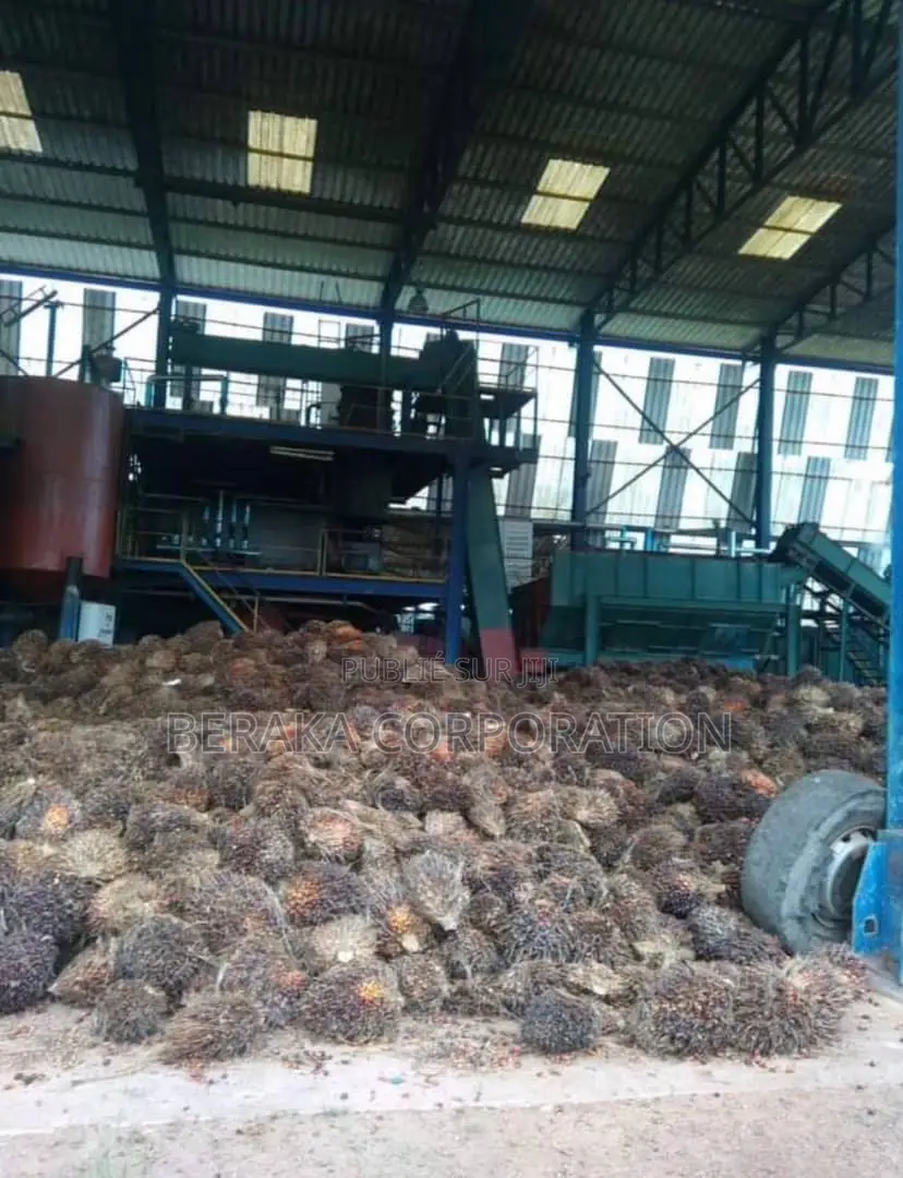 Usine De Palmier a Huile en Vente
