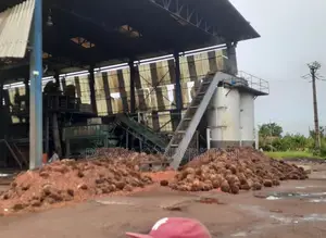 Usine De Palmier a Huile en Vente
