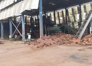 Usine De Palmier a Huile en Vente