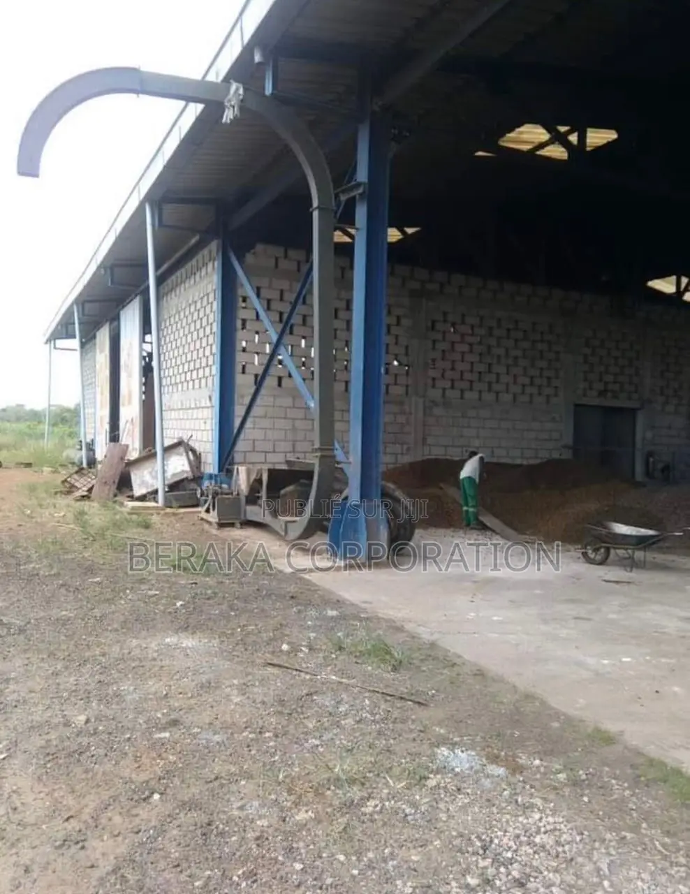Usine De Palmier a Huile en Vente