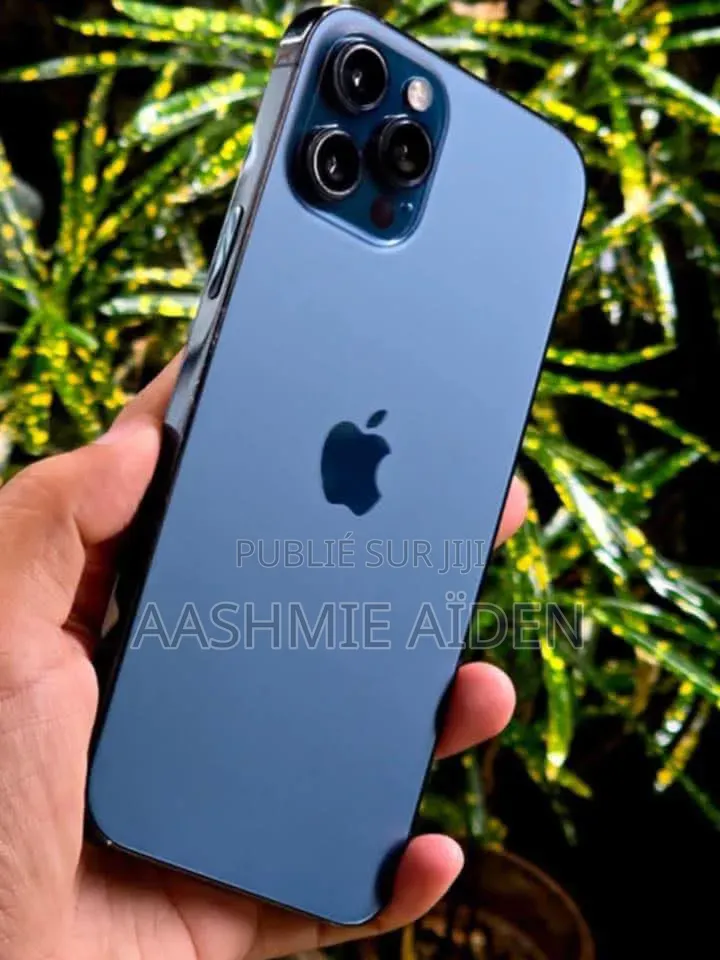 Nouveau Apple iPhone 12 Pro Max 256 GB Bleu