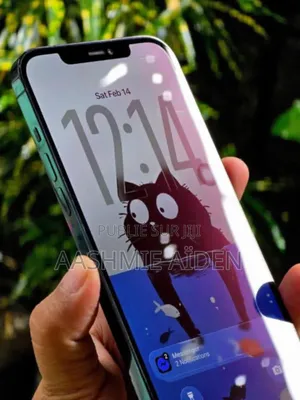 Nouveau Apple iPhone 12 Pro Max 256 GB Bleu