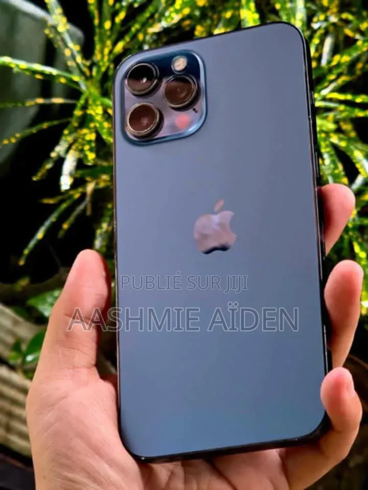 Nouveau Apple iPhone 12 Pro Max 256 GB Bleu