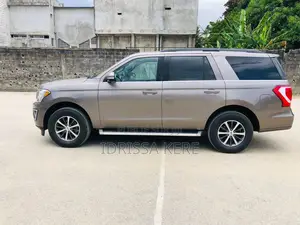 Ford Expedition Limited 4x4 2019 Beige