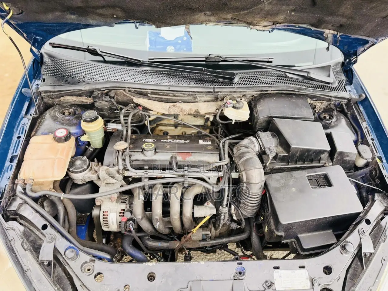 Ford Focus 1999 Bleu