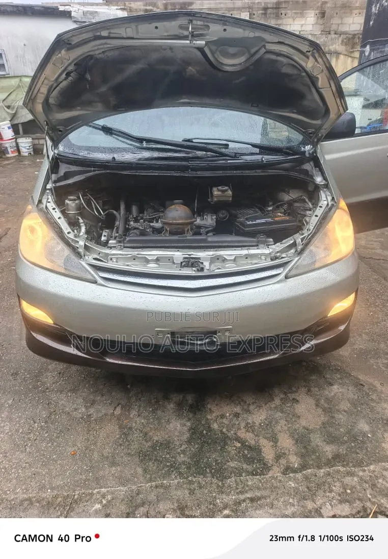 Toyota Picnic 2.0 FWD 2009 Beige