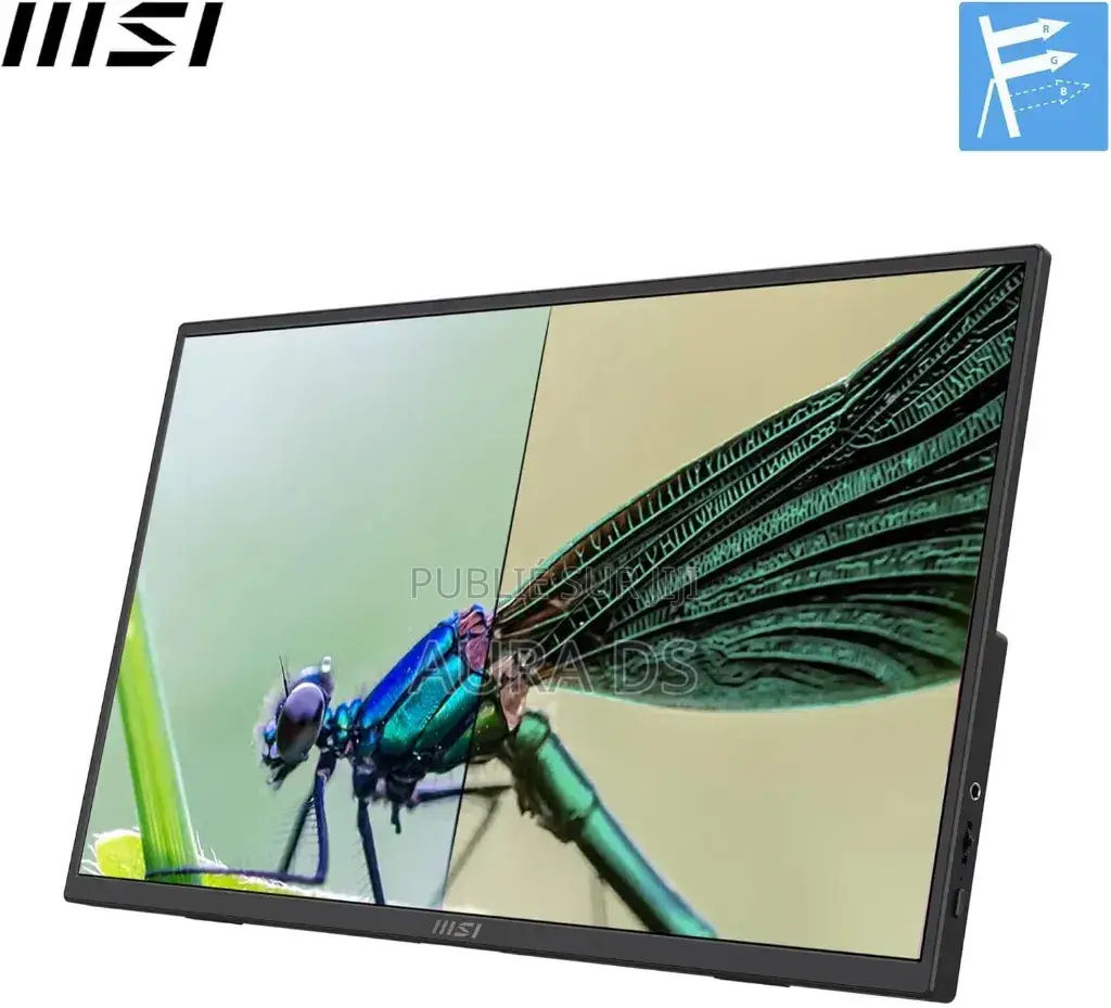 Msi Pro Mp165 E6 Écran Portable 15.6" FHD - Dalle Ips 1920x1080