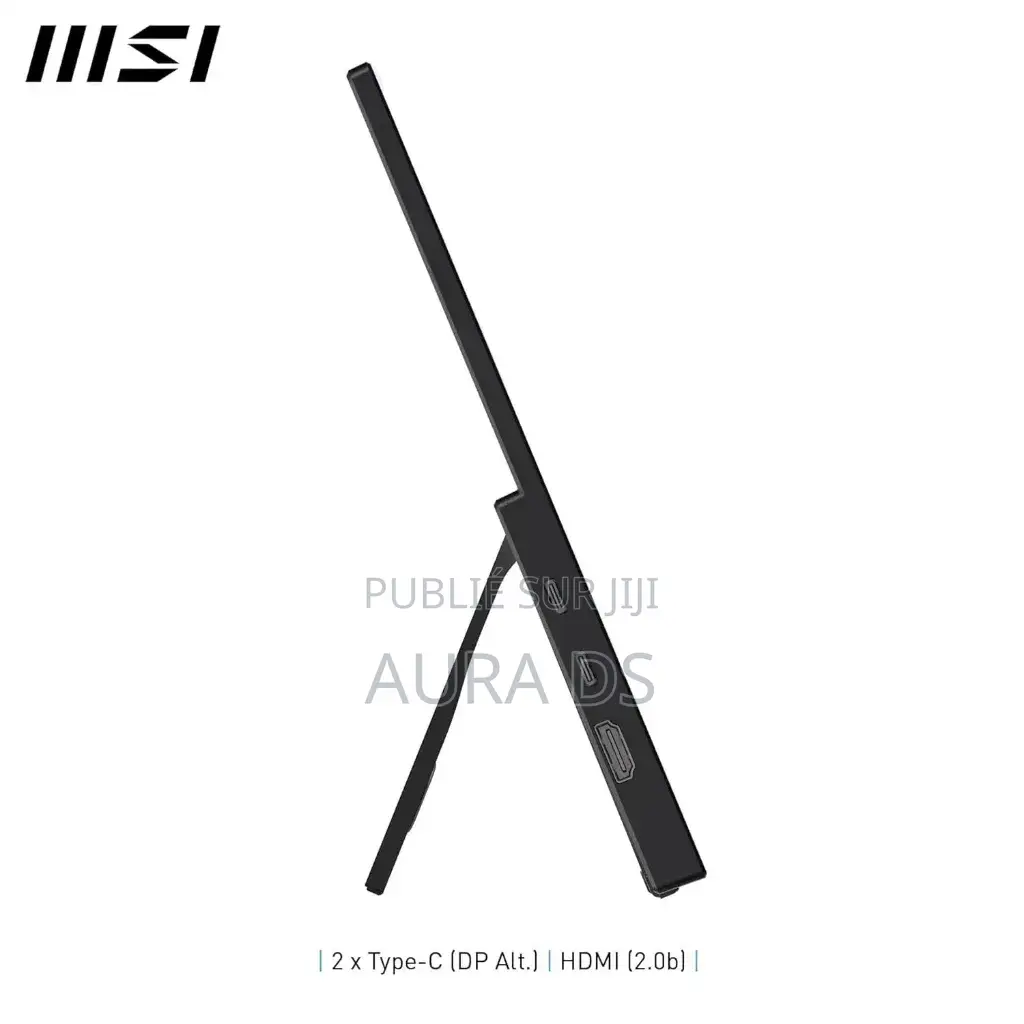 Msi Pro Mp165 E6 Écran Portable 15.6" FHD - Dalle Ips 1920x1080
