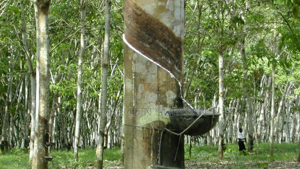 Garantie d'Un Champs d'Evea
