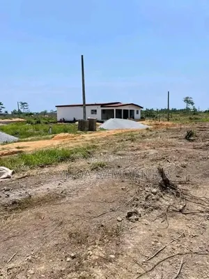 Yamoussoukro Terrain Zatta