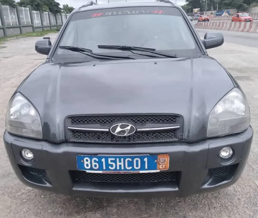 Hyundai Tucson 2006 Gris