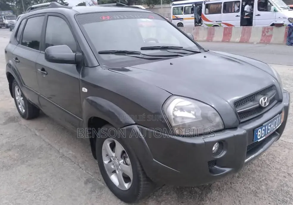 Hyundai Tucson 2006 Gris