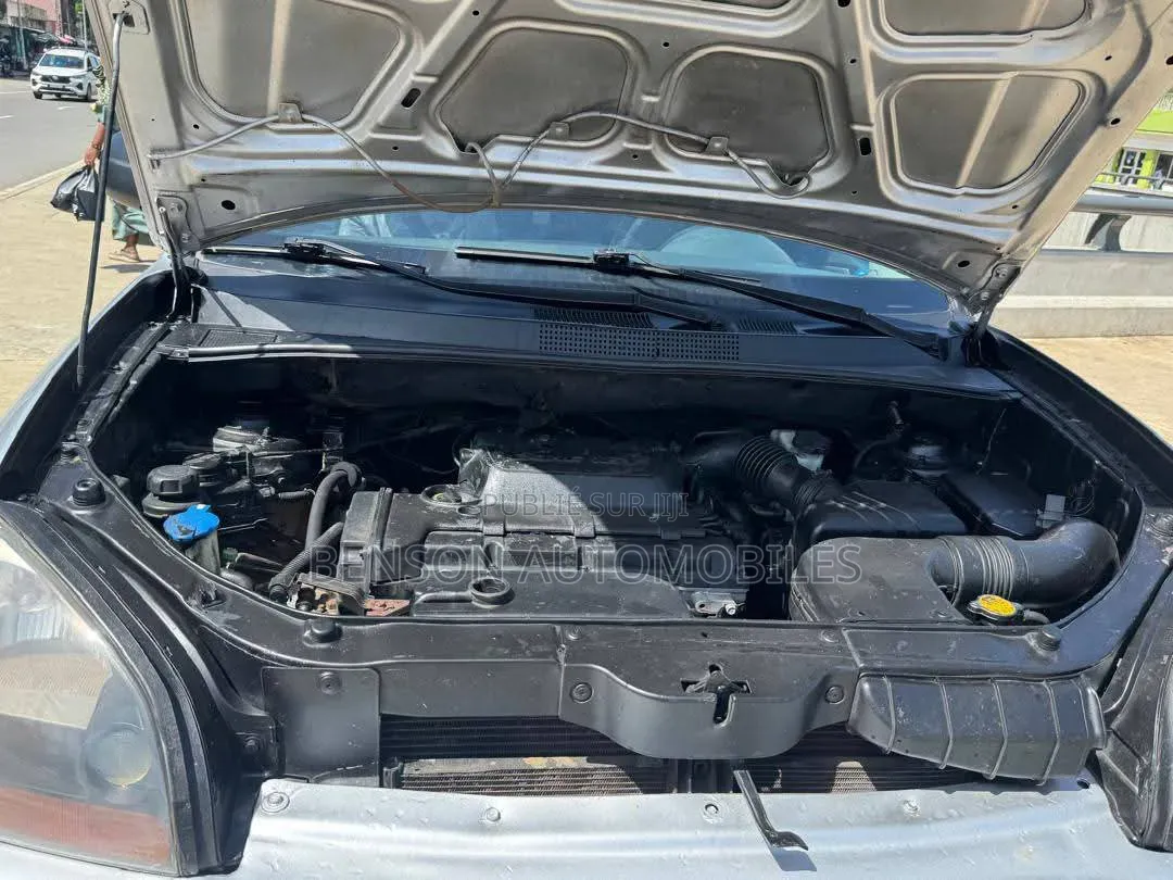 Hyundai Tucson 2007 Gris