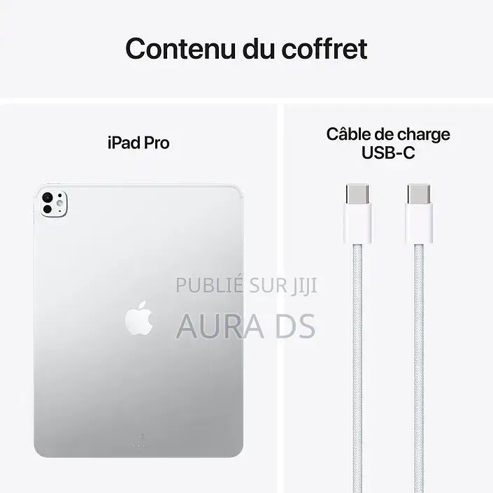 Nouveau Apple iPad Pro 2 TB Argenté