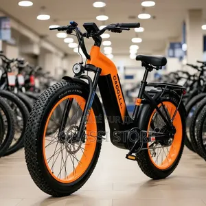 Vélo Électrique