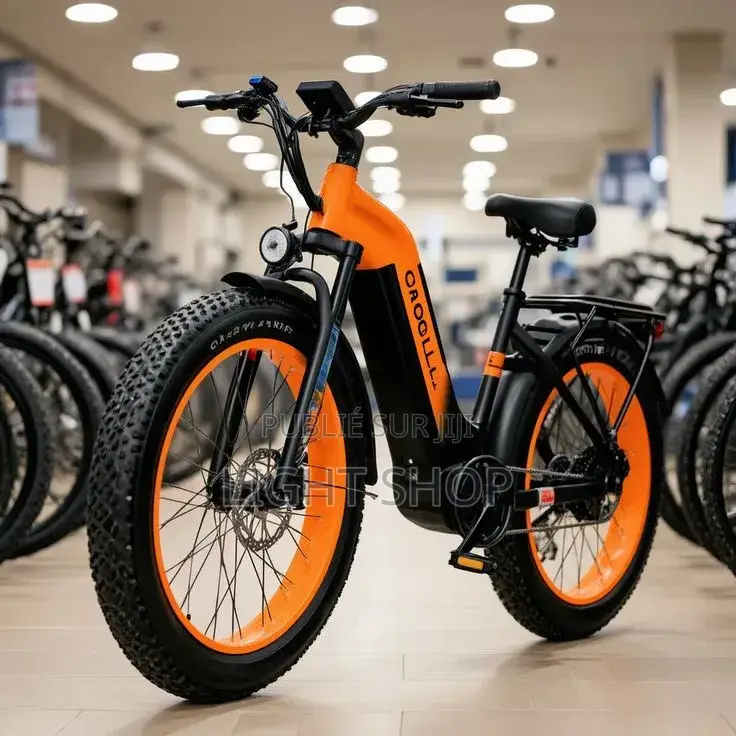 Vélo Électrique