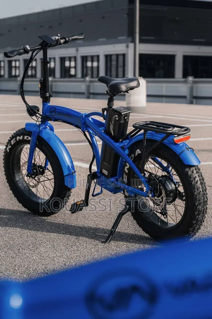 Vélo Électrique