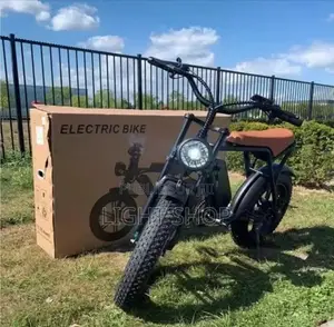 Vélo Électrique