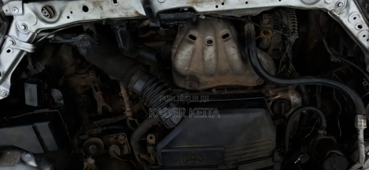 Toyota RAV4 2006 Gris