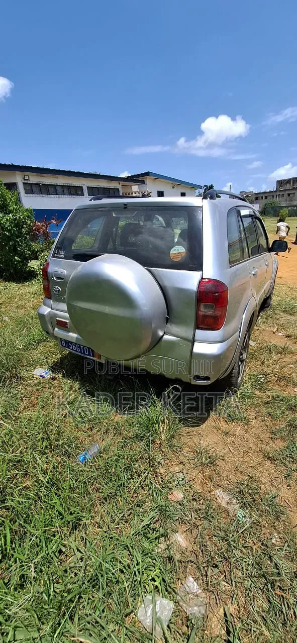 Toyota RAV4 2006 Gris