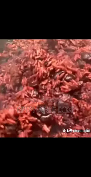 Souralê Food