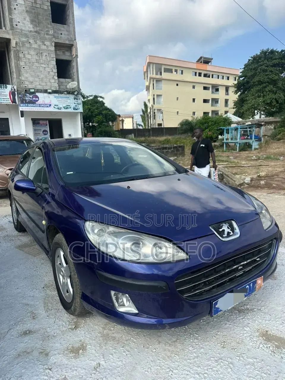 Peugeot 407 2008 Bleu