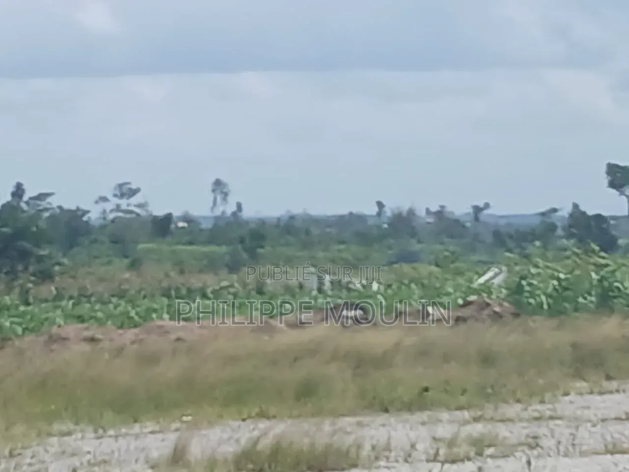 Terrain en Vente a Yamoussoukro Kokrenou Ouest