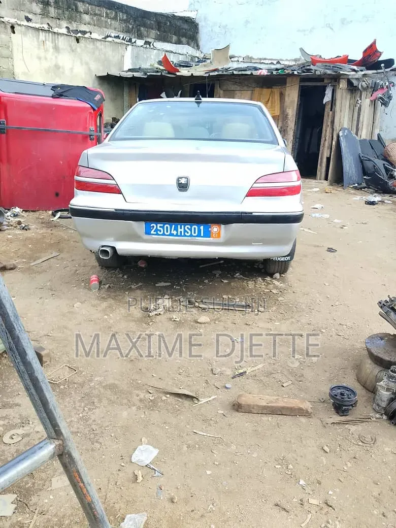 Peugeot 406 2000 Gris