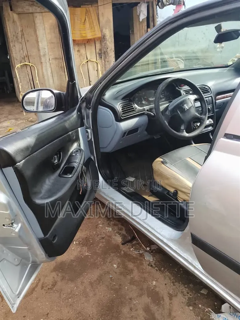Peugeot 406 2000 Gris
