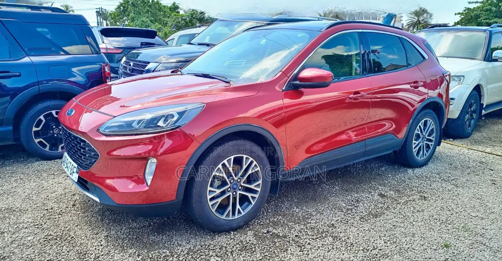 Ford Escape 2019 Rouge