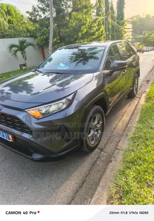 Toyota RAV4 2024 Gris