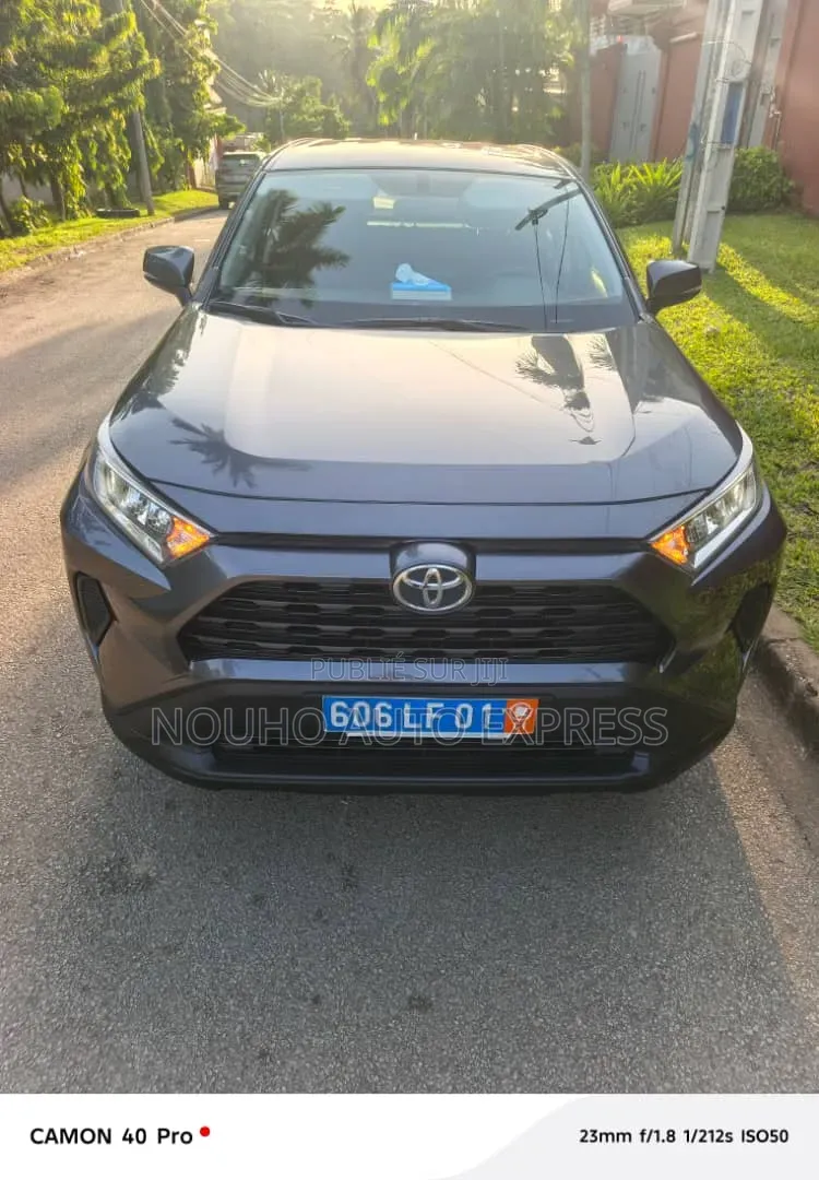 Toyota RAV4 2024 Gris