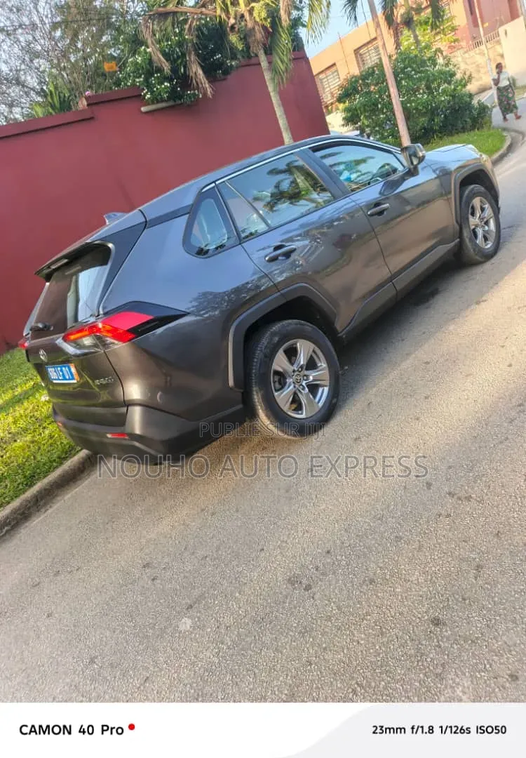 Toyota RAV4 2024 Gris