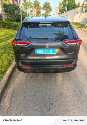 Toyota RAV4 2024 Gris