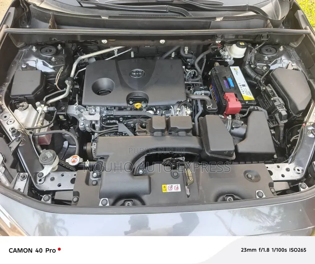 Toyota RAV4 2024 Gris