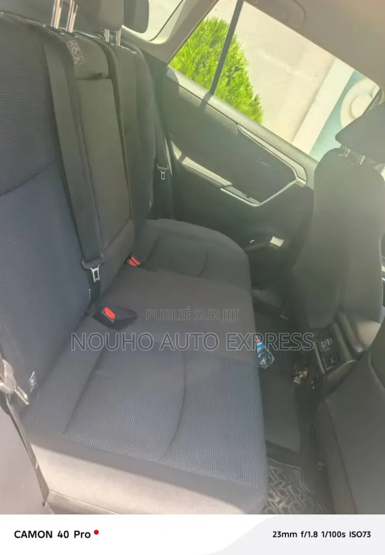 Toyota RAV4 2024 Gris