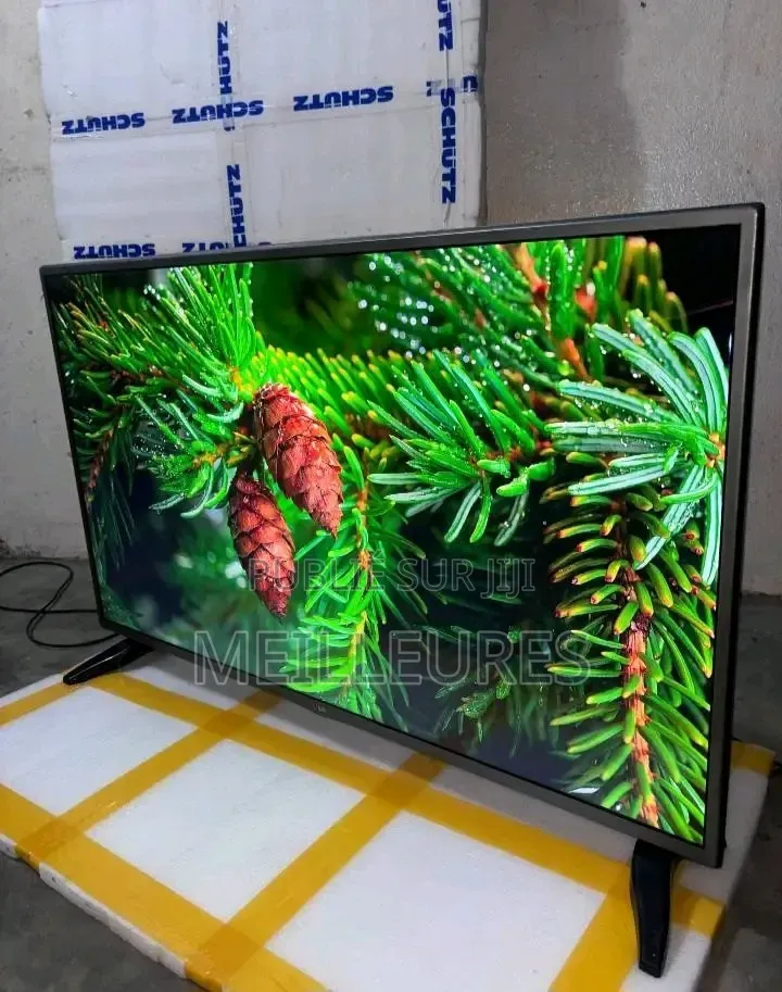 Télévision