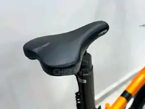 Vélo Électrique