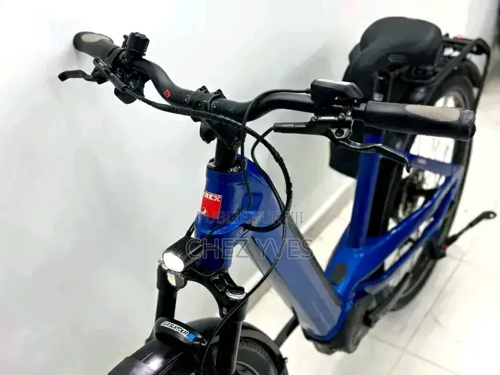 Vélo Électrique