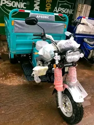 Nouveau Tricycle Autre 2026 Bleu