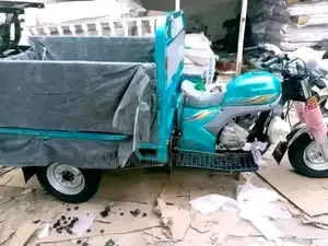 Nouveau Tricycle Autre 2026 Bleu