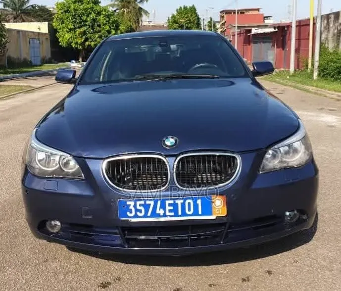 BMW 5 Series 535xi 2009 Bleu
