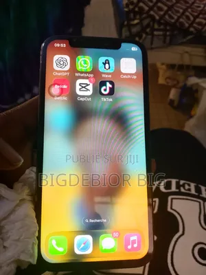 Apple iPhone 12 Pro 512 GB Noir